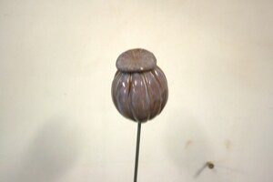 Papaverbol op pin
