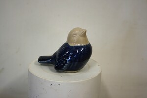 Vogeltje blauw