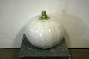 Pompoen 